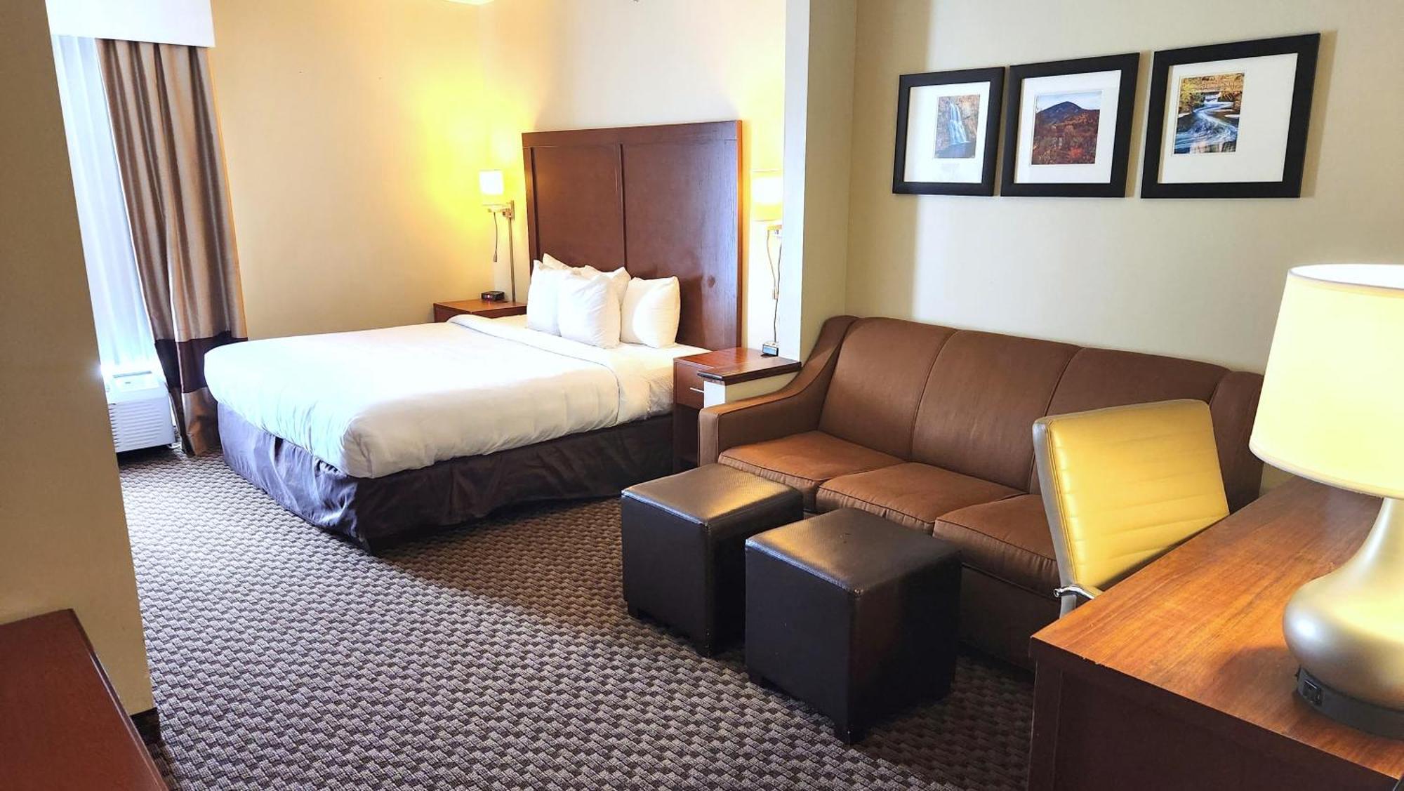 Comfort Inn & Suites Mount Pocono Rum bild